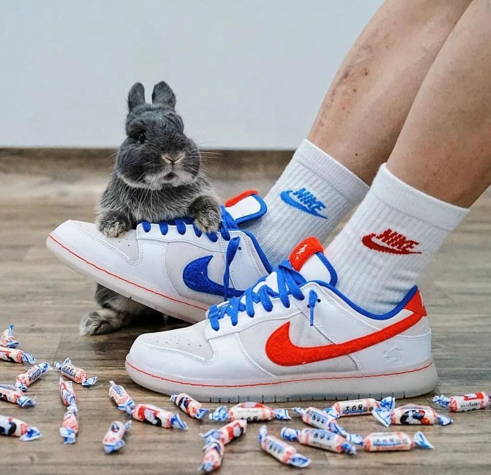 02d2a443-e94e-459a-9c70-f917901a3ed2 | AE JERSEY Grey bunny with paws on a white sneaker that has blue and orange Nike swooshes, on a wooden floor with scattered candy wrappers nearby.