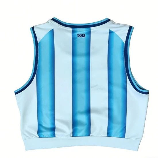 1b2556fe-68e8-4fa2-8286-2d18c27b8e34 | AE JERSEY Back view of a sleeveless blue-and-white striped sports jersey with vertical stripes and the number 1893 at the collar area.