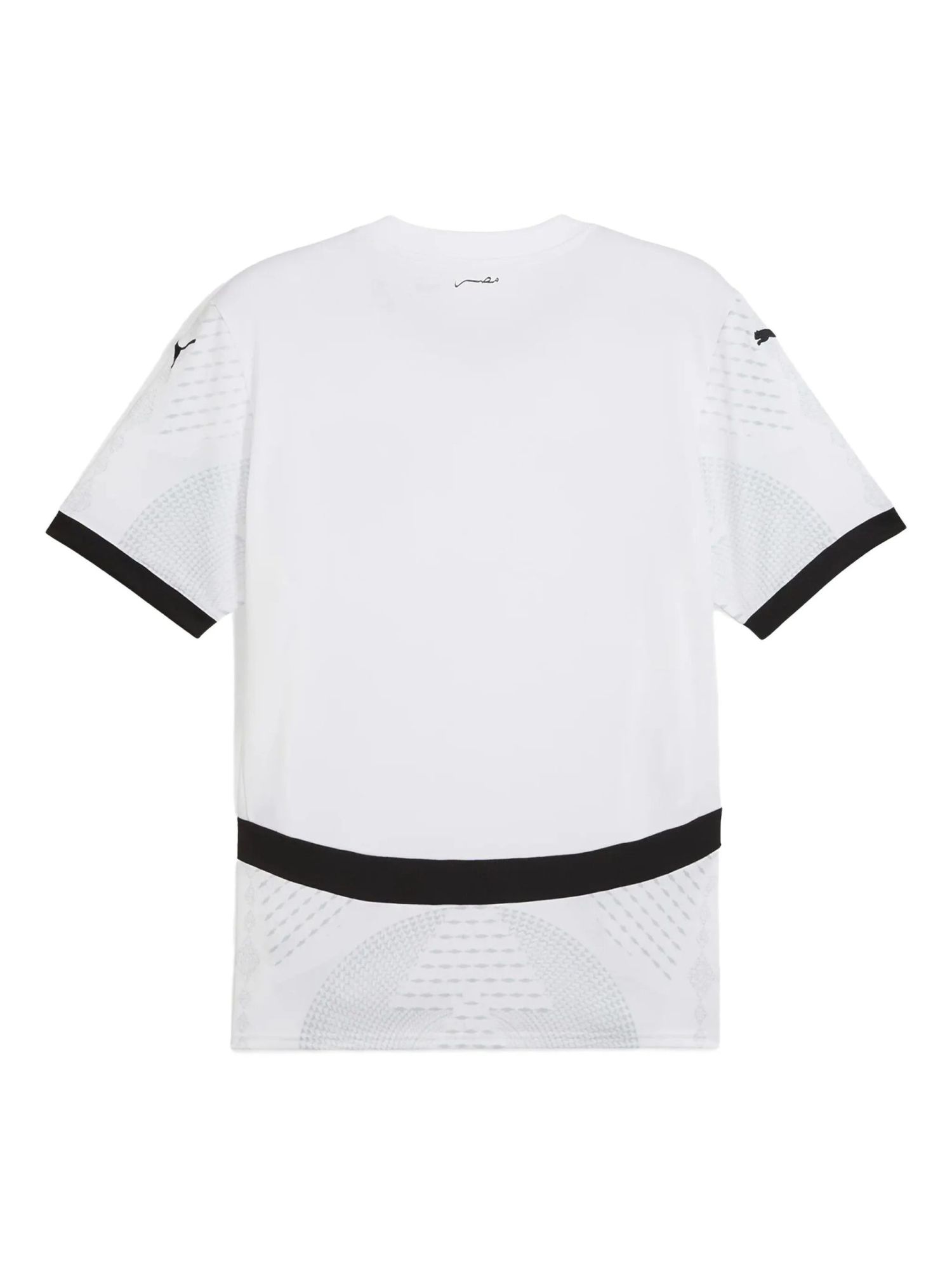 32159922_62033739_2048 | AE JERSEY White athletic T-shirt shown from the back with black cuffs and subtle gray patterned panels on sleeves and lower back.