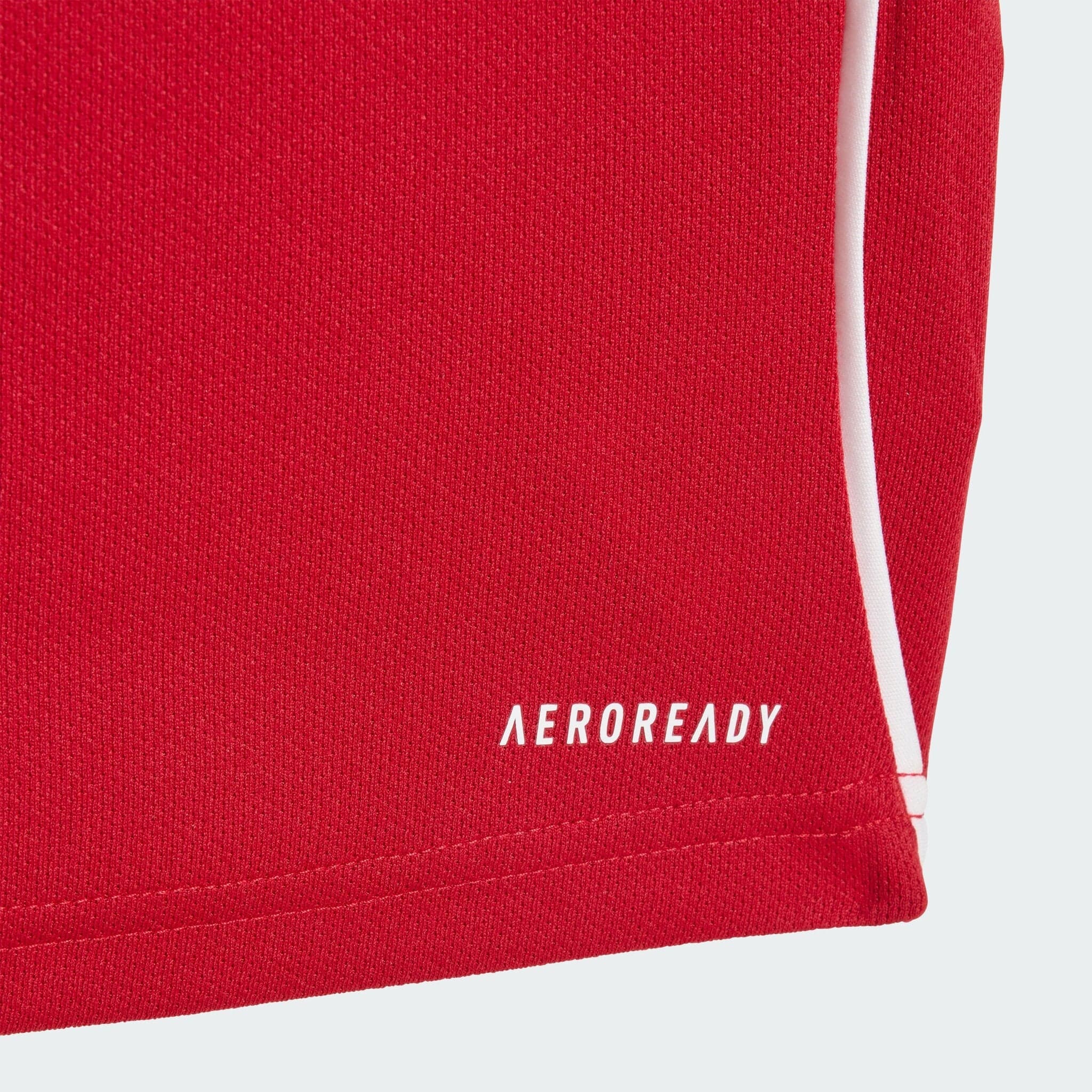 JV6443_D2_Flat_eCom-lowres | AE JERSEY Close-up of red knit fabric with a thin white seam running along the edge.