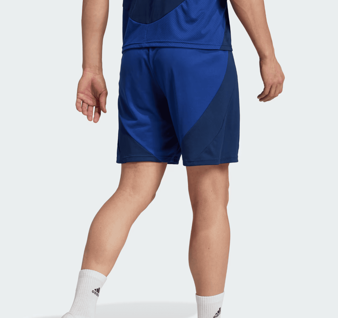 Screenshot_2024-09-18_222523 | AE JERSEY Back view of a person wearing blue athletic shorts with dark panel accents on the sides.