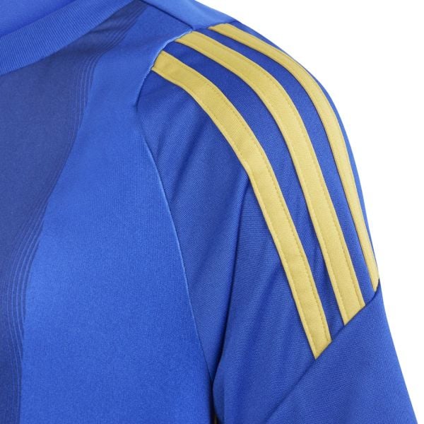 argentina-blue-messi-training-jersey-2425-817393 | AE JERSEY Argentina Blue Messi Training Jersey 24/25 - uaessss