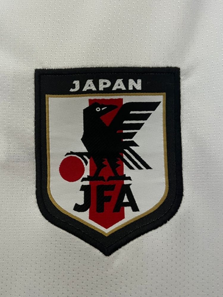 japan-roronoa-zoro-special-edition-jersey-2324-361338 | AE JERSEY Japan RORONOA ZORO Special Edition Jersey 23/24 - uaessss