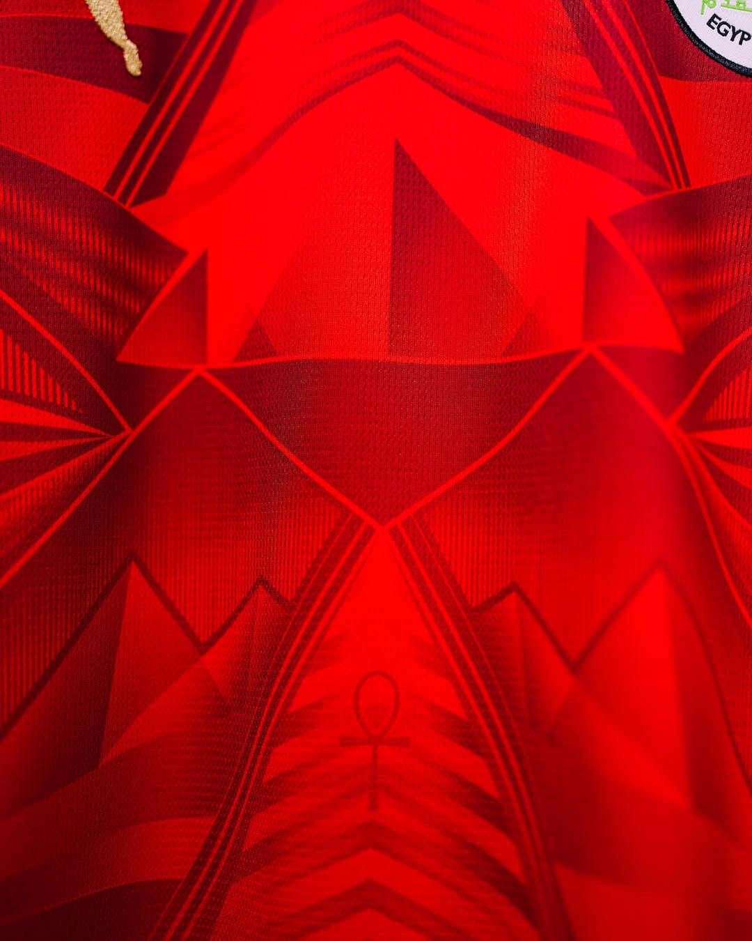 rn-image_picker_lib_temp_1bc9e96a-ed62-406f-ad5b-3a74c86a9c73 | AE JERSEY Close-up of red geometric fabric with sharp triangular shapes and a small female gender symbol visible in the center.