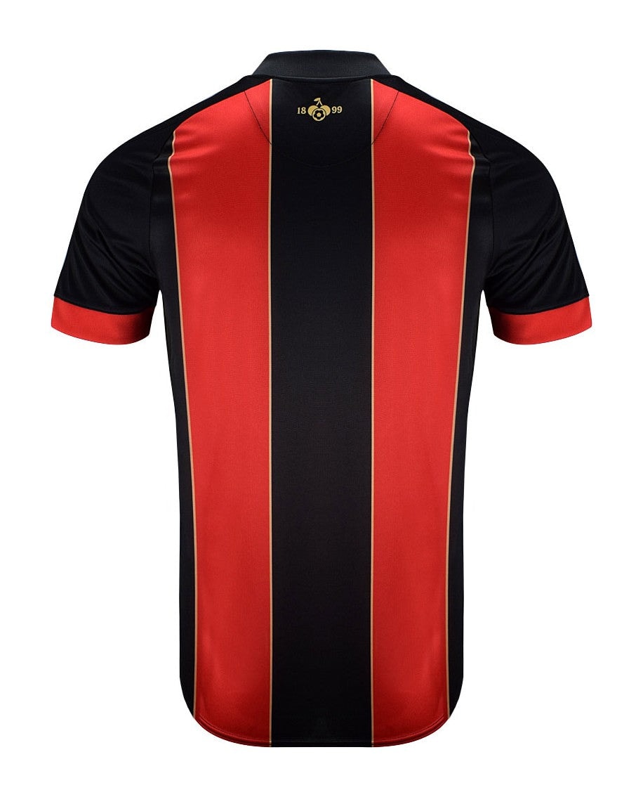 rsVaciq88IhaNtg | AE JERSEY Back view of a red and black striped sports jersey with thin gold vertical trim lines on the stripes.