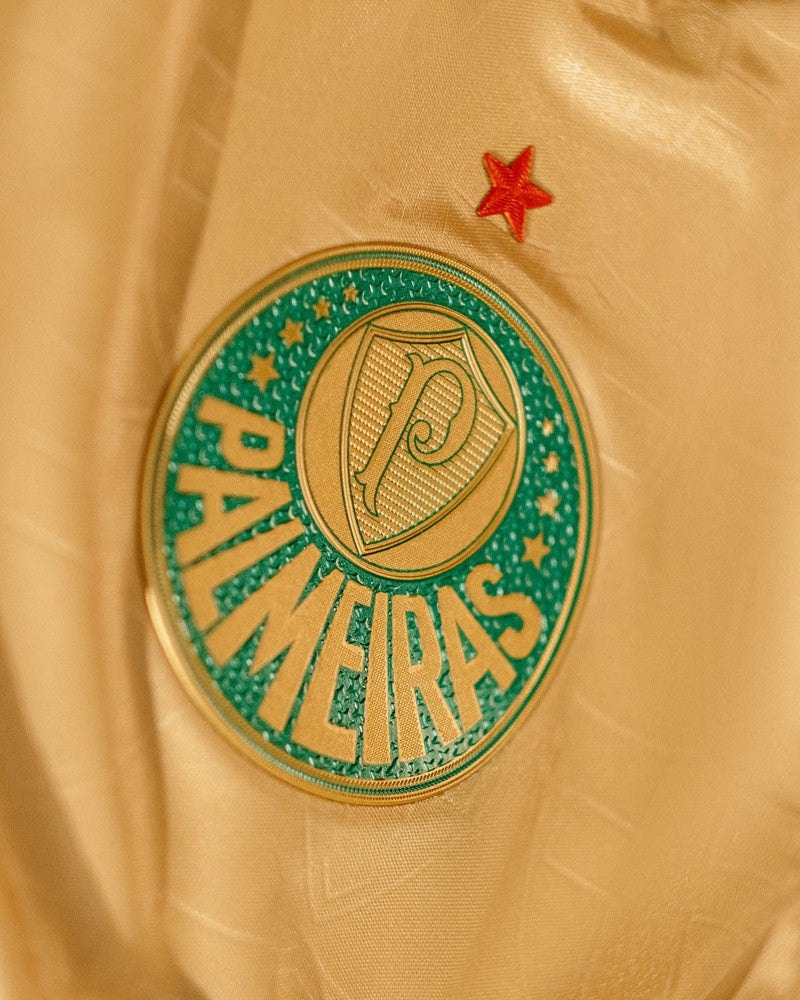 tpeuEwAPqF3PXkg | AE JERSEY Circular teal badge with the word PAWNEIRAS in gold on a beige fabric, featuring a shield emblem; a small red star sits above the badge.